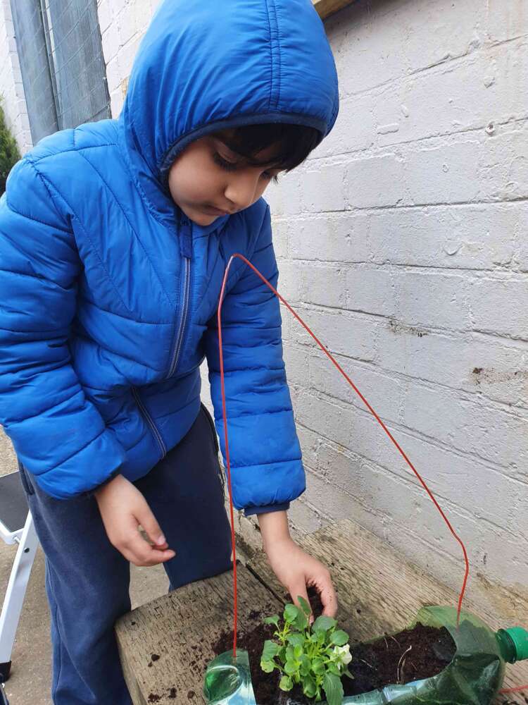 Green Fingers in Year 2