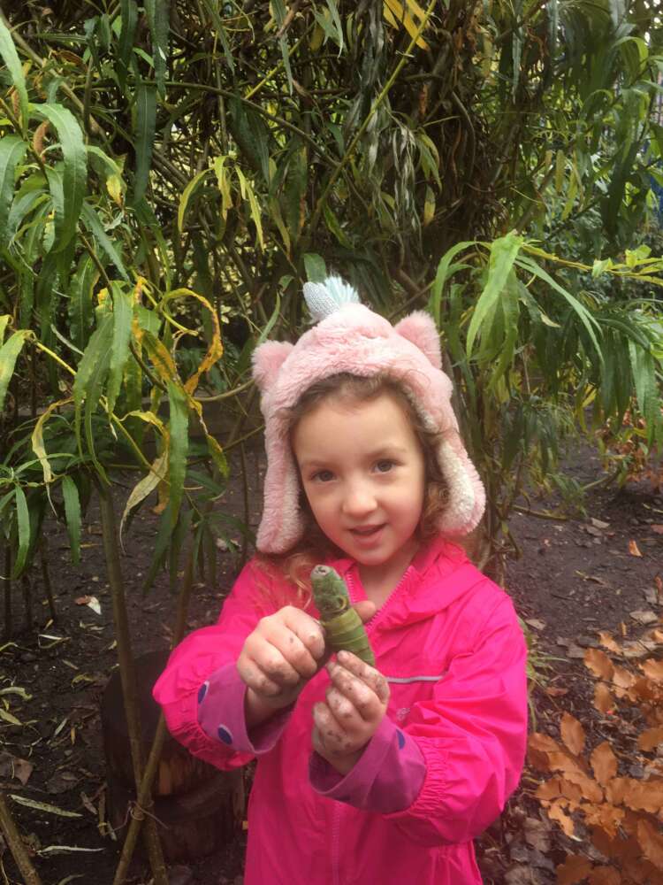 Year 1 Forest School – Clay Animal Sculptures